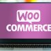WooCommerce Ecommerce for WordPress